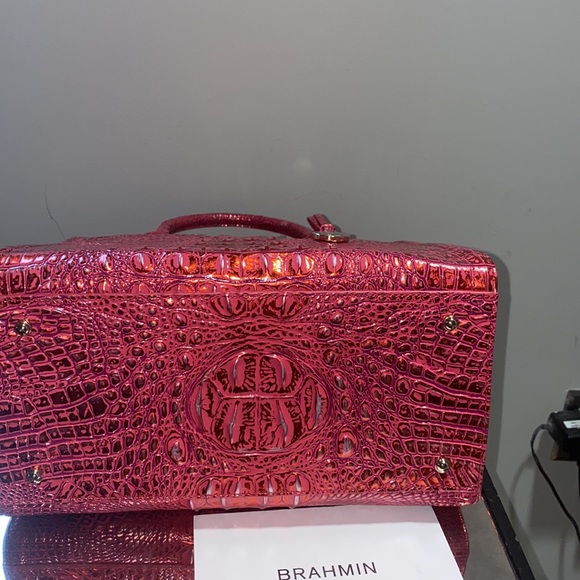 Brahmin - Picture 10 of 15